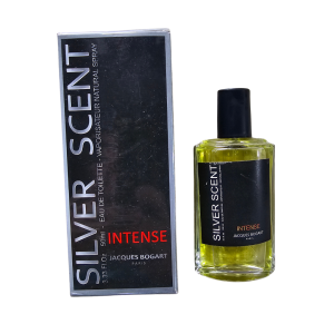 Perfume Silver Scent intense